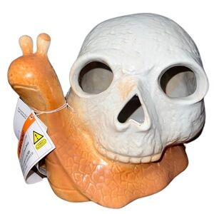 Snail Skull Decor